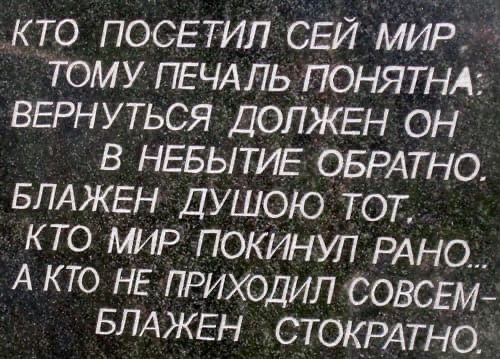 7_nH082xf60.jpg