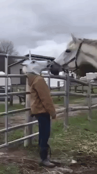 7b6a25b335f6.gif