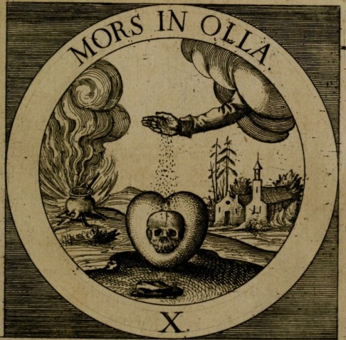 7bg0tL_gvh0.jpg