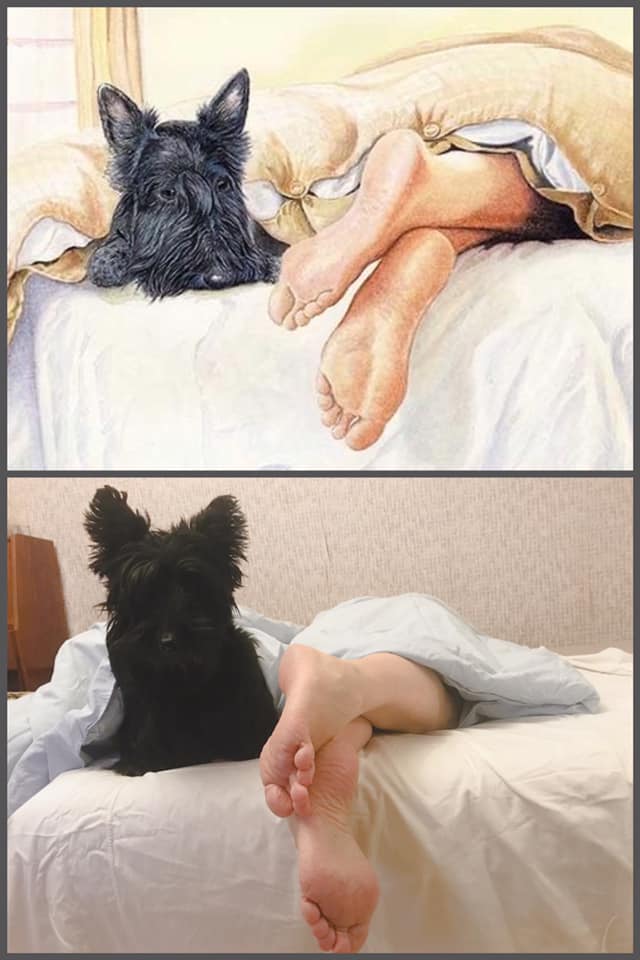 7GKqRZ8kTBI.jpg