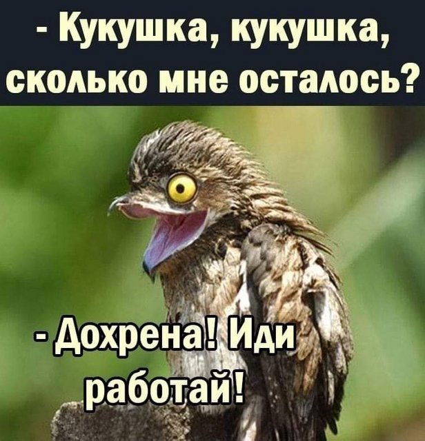80.jpg