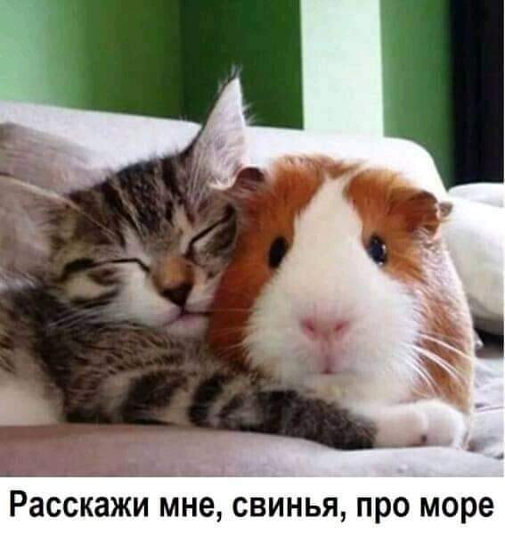 85.jpg