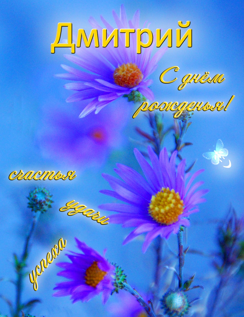85imennoye-pozdravlenie.jpg