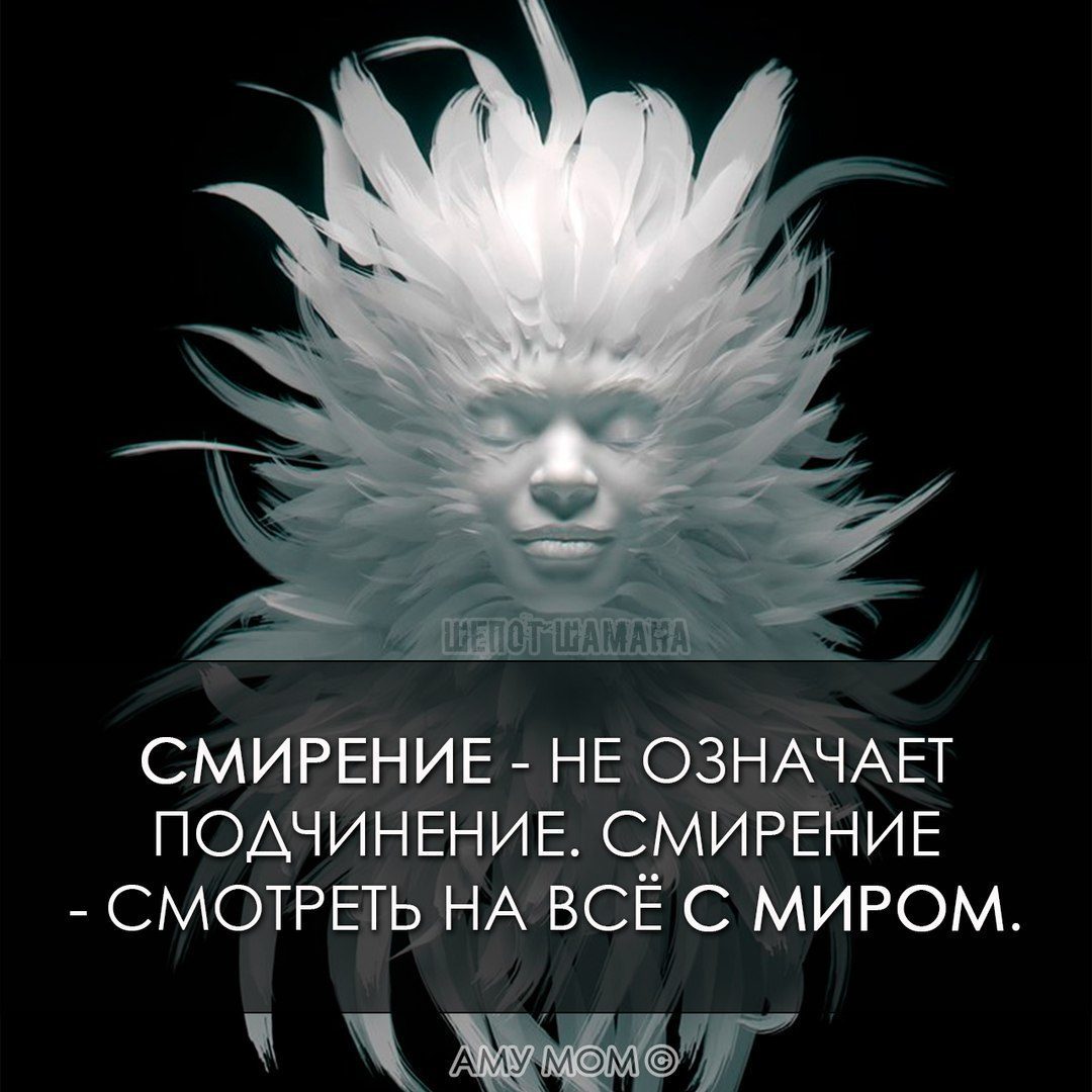 86.jpg