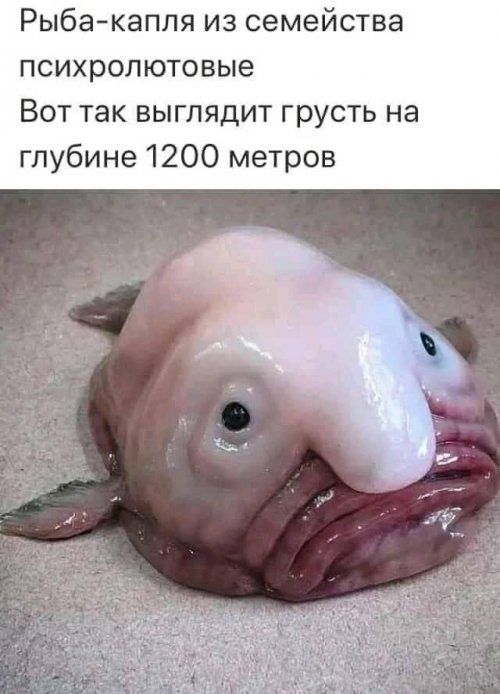 86edb9abc978d4114dde2cb7a4bb26b3.jpg