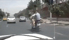 8c9a988c9a98.gif