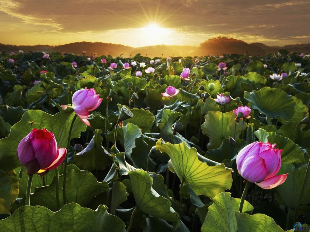 93969976_w640_h640_dyyij7jnyb_1024x768.jpg