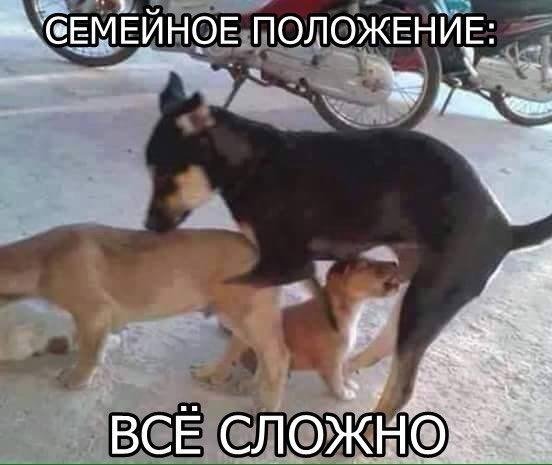 9677395.jpg