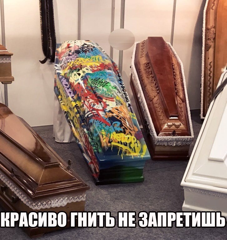 9730497.jpg