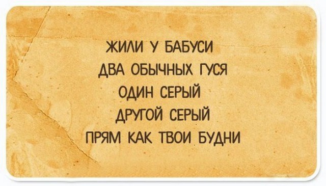 9804306.jpg