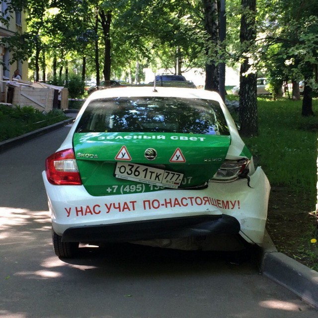 9849607.jpg