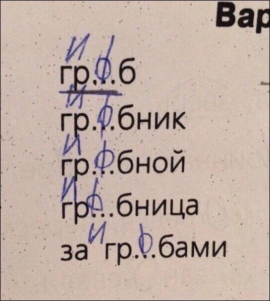 9883652.jpg