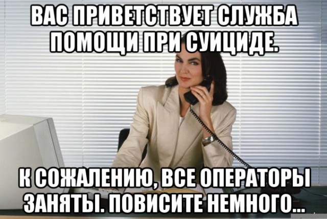 9969207.jpg