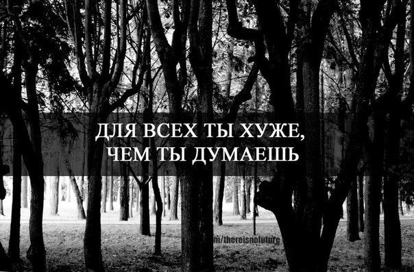 9DvsE8qHIw8.jpg