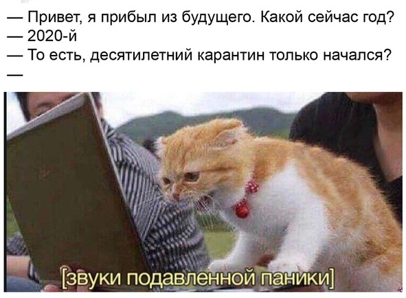 9hqd0u089ke.aVBovавитв.jpg
