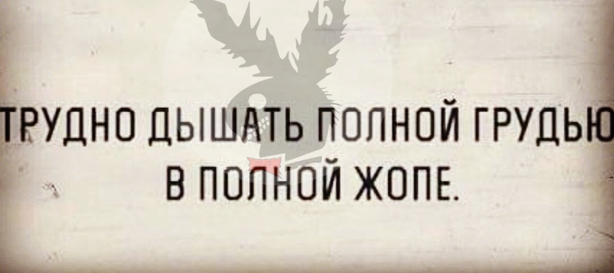 _bK6TLfDw30.jpg