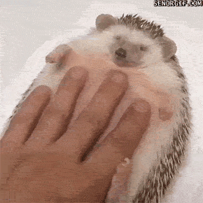 A2Qd.gif
