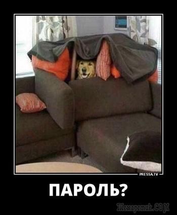 a6291fc9cfd499a3da5d5b676e16e467.jpg
