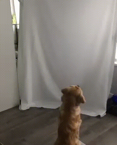 a8ozBRp_460svvp9.gif