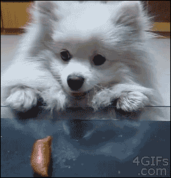 aAVnX.gif