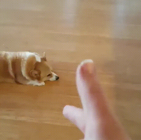 aGjoM5Z_460svvp9.gif