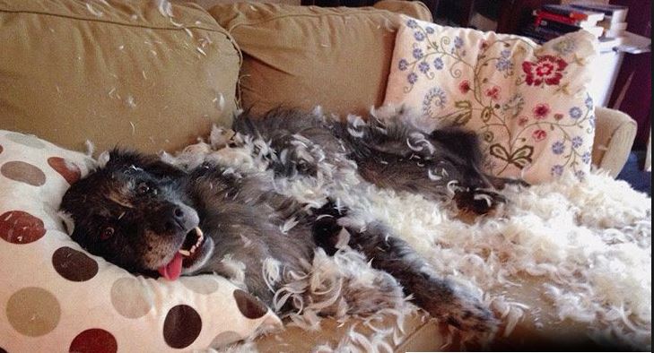 Ahh-Youre-Home-Earlier-Then-I-Thought.jpg