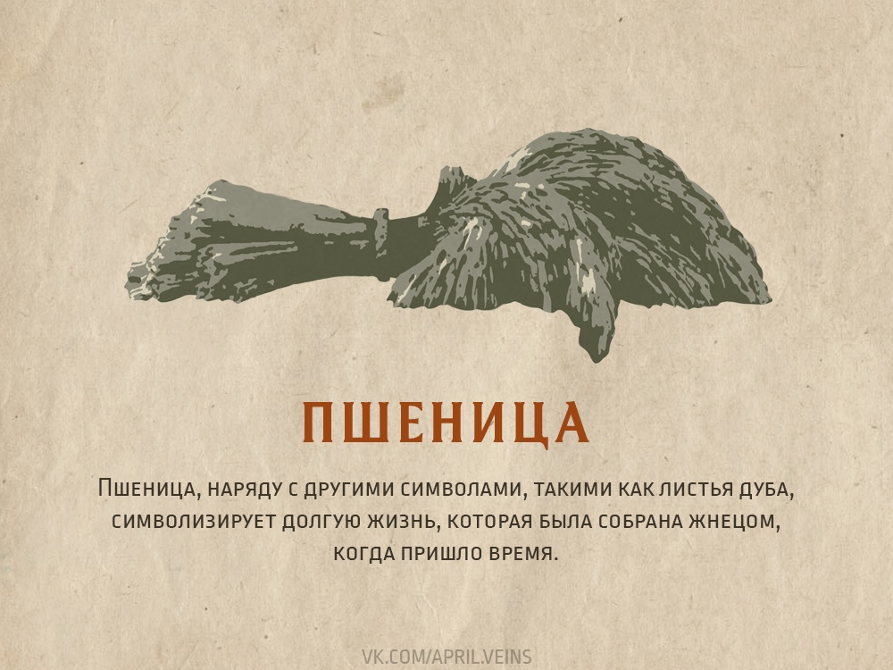 aMftvKW6Cq4.jpg