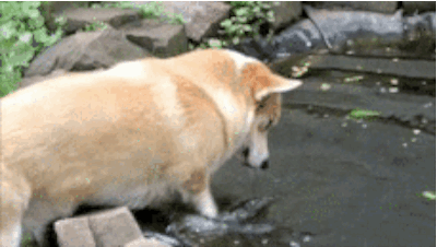 anigif_enhanced-buzz-10810-1377012090-12.gif