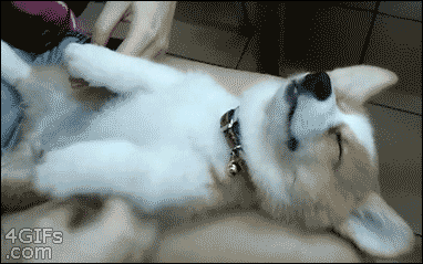 anigif_enhanced-buzz-1498-1377022462-24.gif