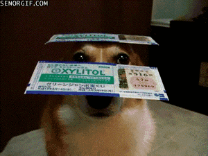 anigif_enhanced-buzz-7207-1377020045-24.gif