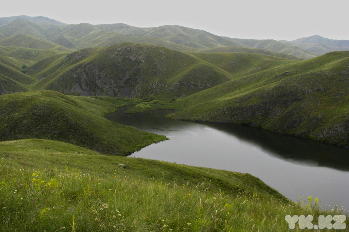apridvk_4_2.jpg