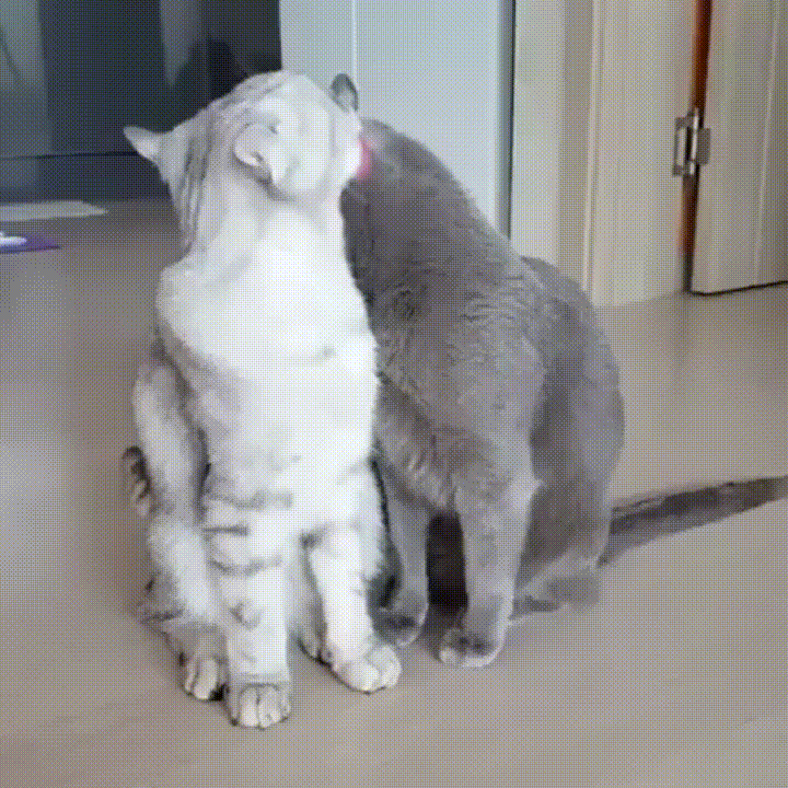 aQIsuli.gif