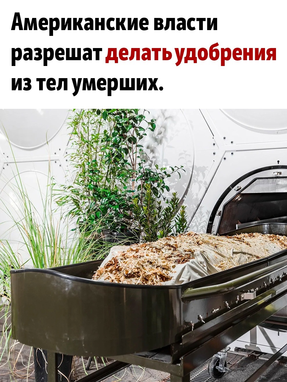 aTTNSym78CDYqOmwAMIypCIvTY4Bzayc_Zy22yuxYzJstcoGho71KnRQIWGRlLRk9jraNl5fCxDgdUyl0WO2WhiV.jpg