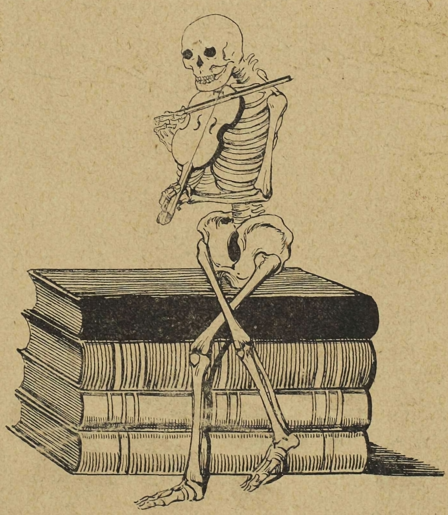 AUkMUUeB404.jpg
