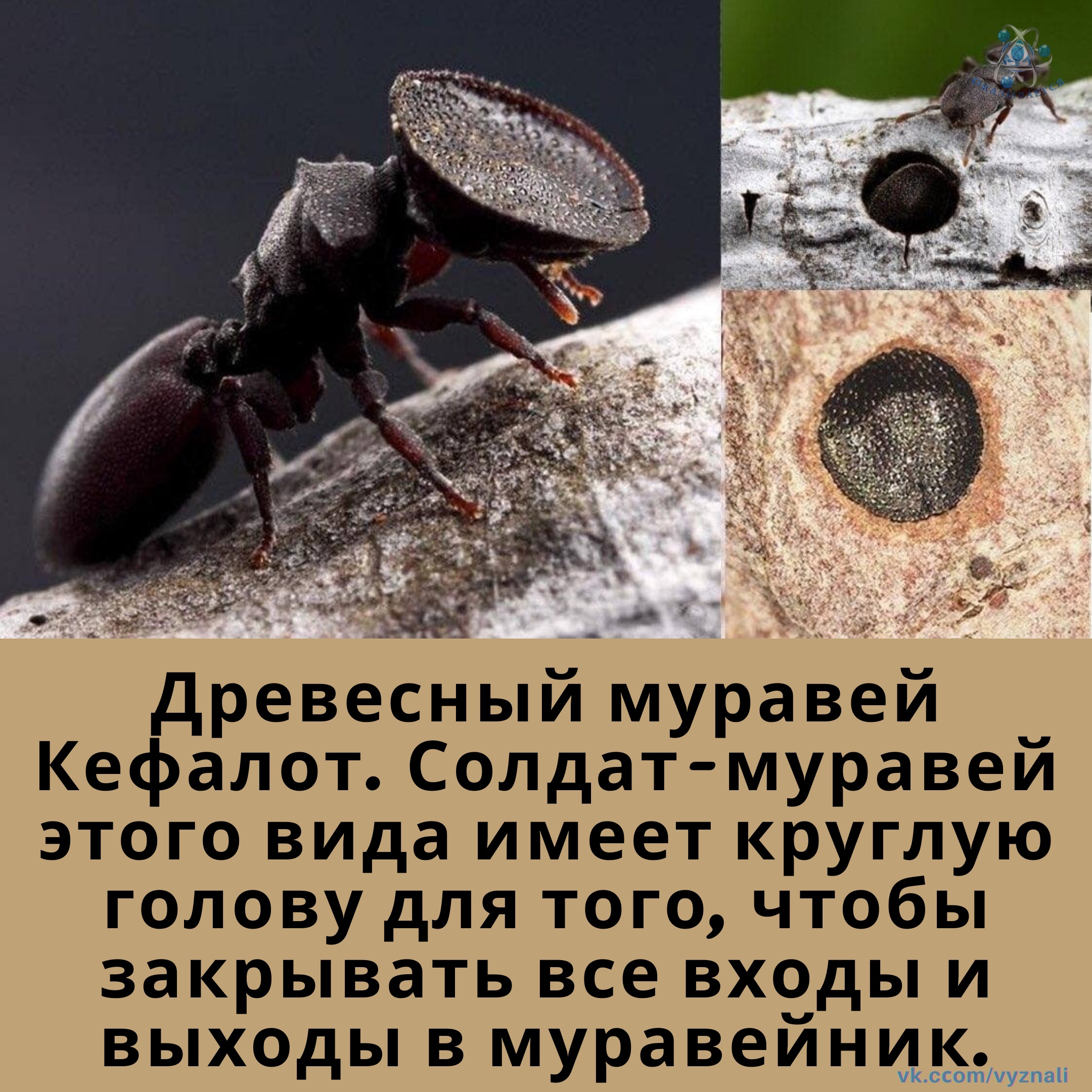 AzC6JrGlP_Y.jpg