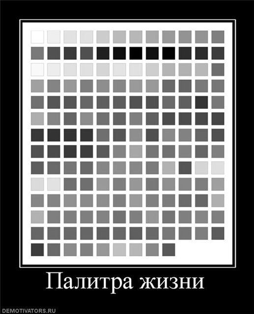 b5f499917611.jpg