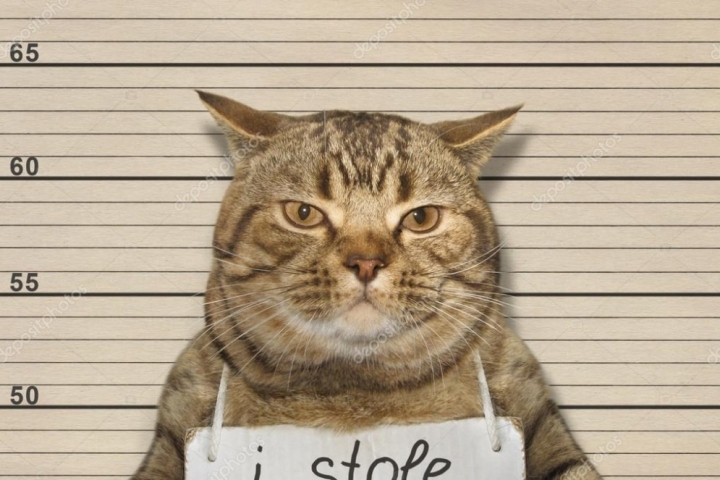 b6bc9f33d9cac97c76b3aec73111df9e.jpg