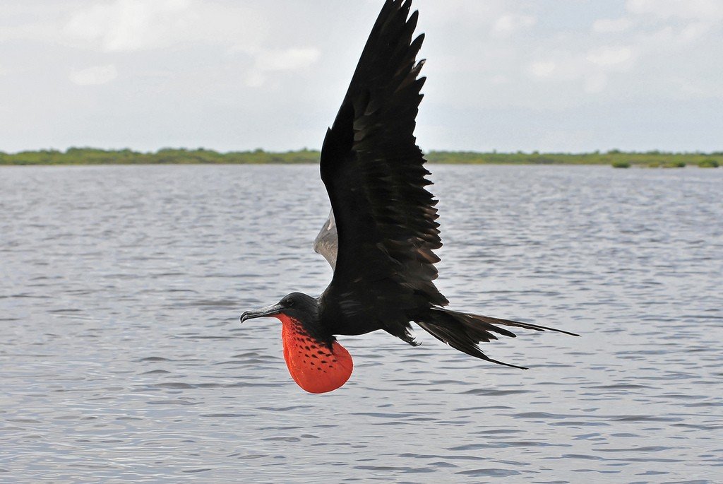 barbuda_43.jpg