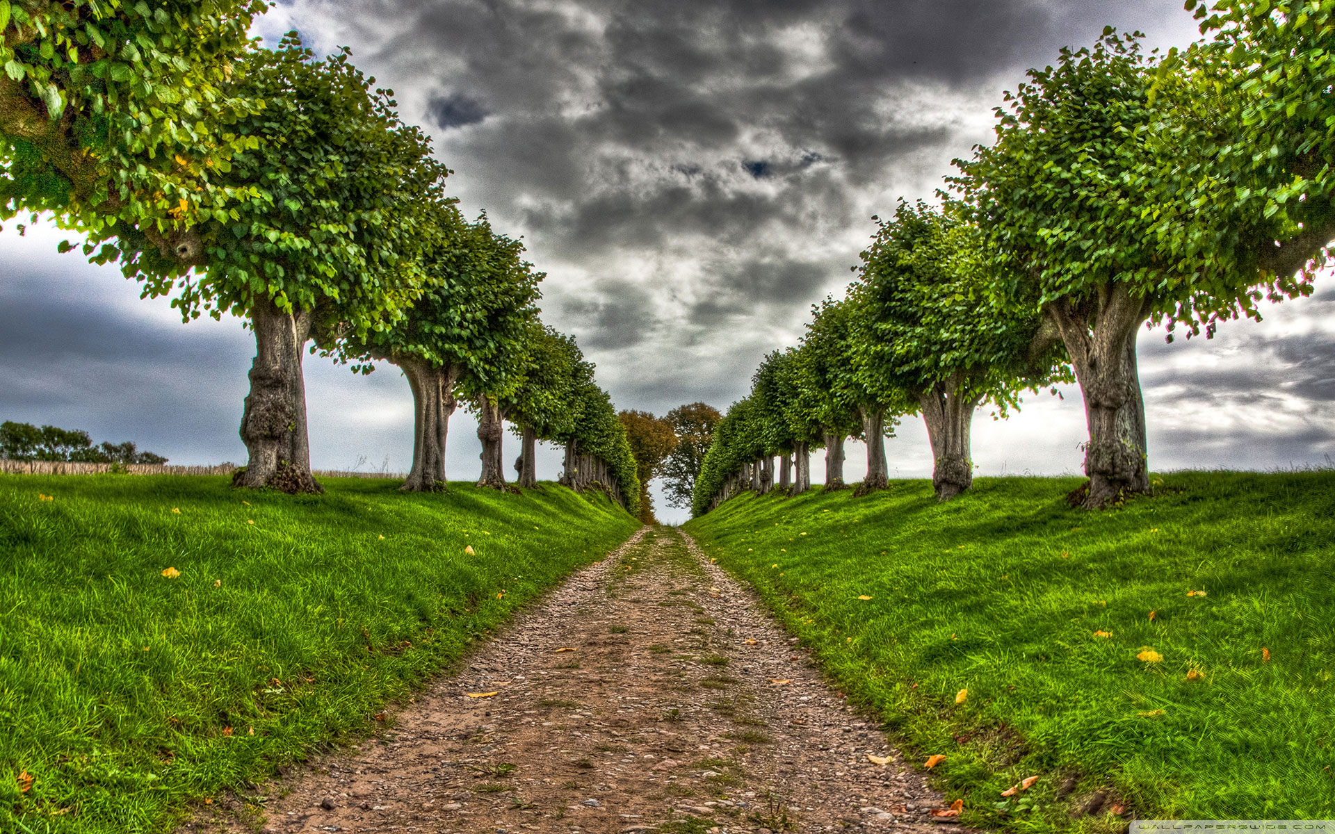 beautiful-3d-nature-wallpapers.jpg