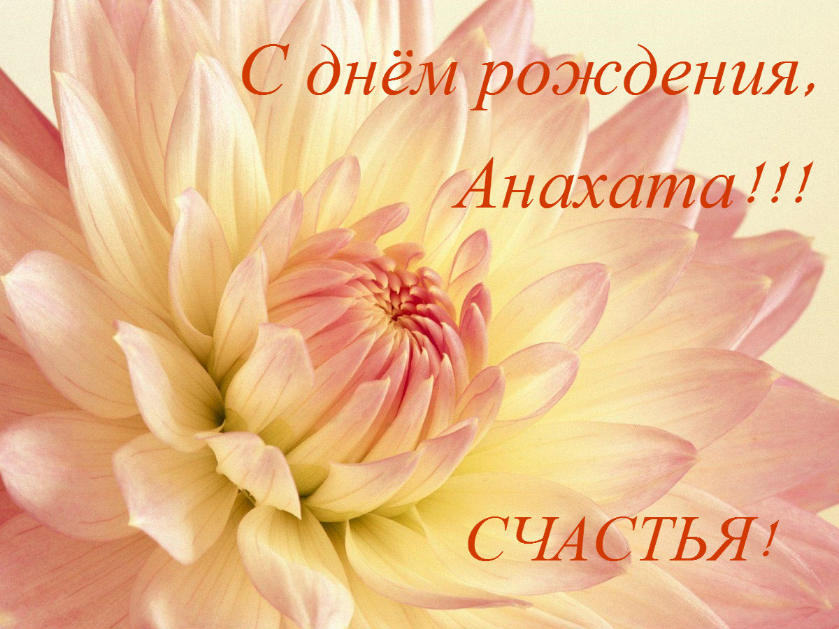 beautiful_flower_2-normal.jpg