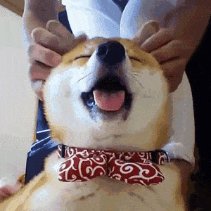 BeneficialUnhappyImago-size_restricted.gif