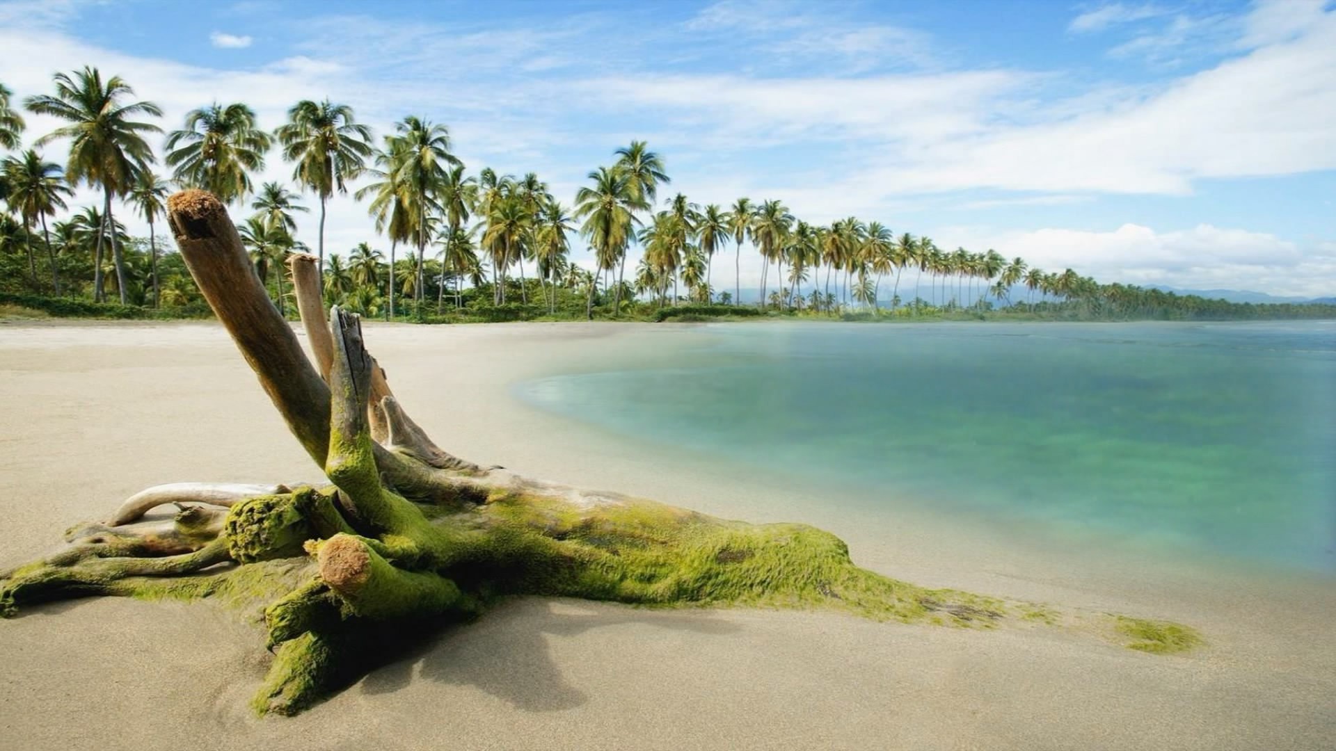 Best-hd-wallpaper-nature-hd-3D.jpg
