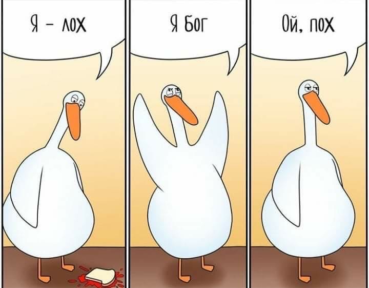 bhjfVCyYND0.jpg