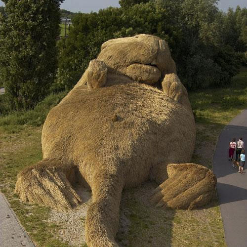 bober.jpg