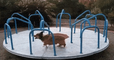 BORSCH (9).gif