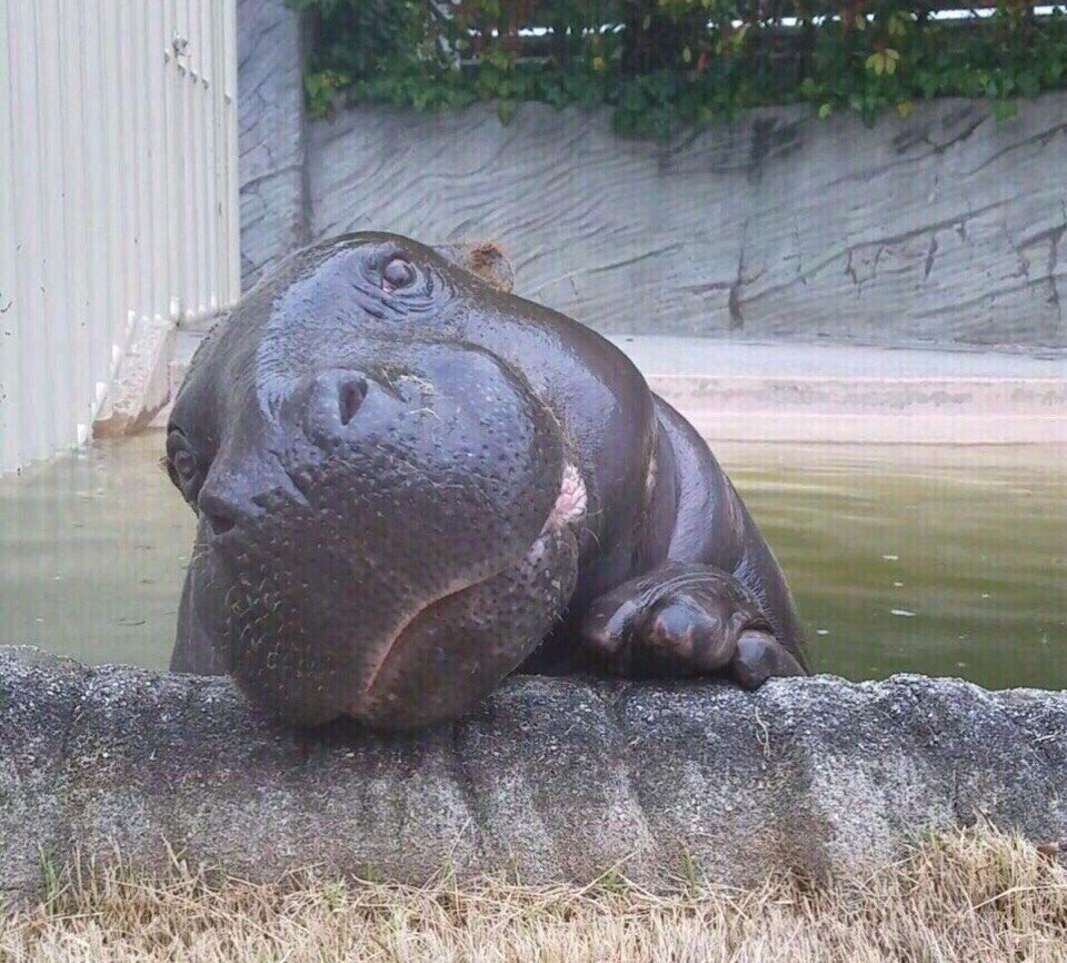 C8tc5QNtimU.jpg