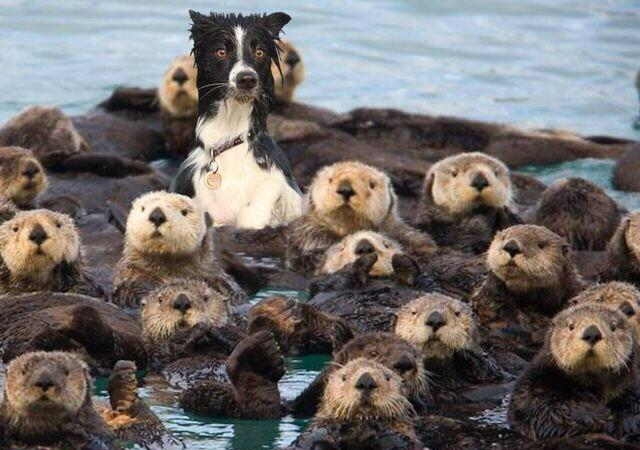 caption-this-photo-from-cleverpolygot-twitter.png