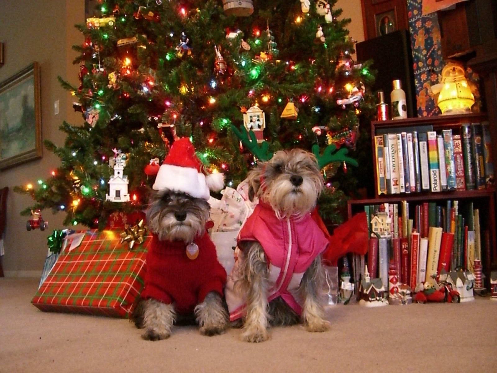 christmaspets.jpg