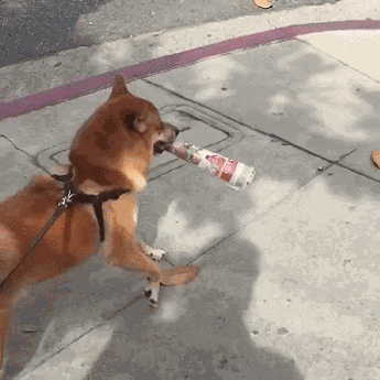 clq9C2X.gif