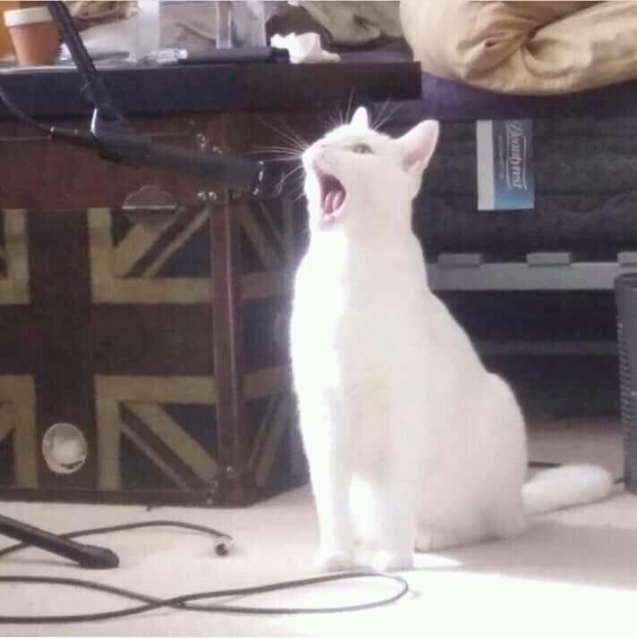 COLAhg7MSnU.jpg